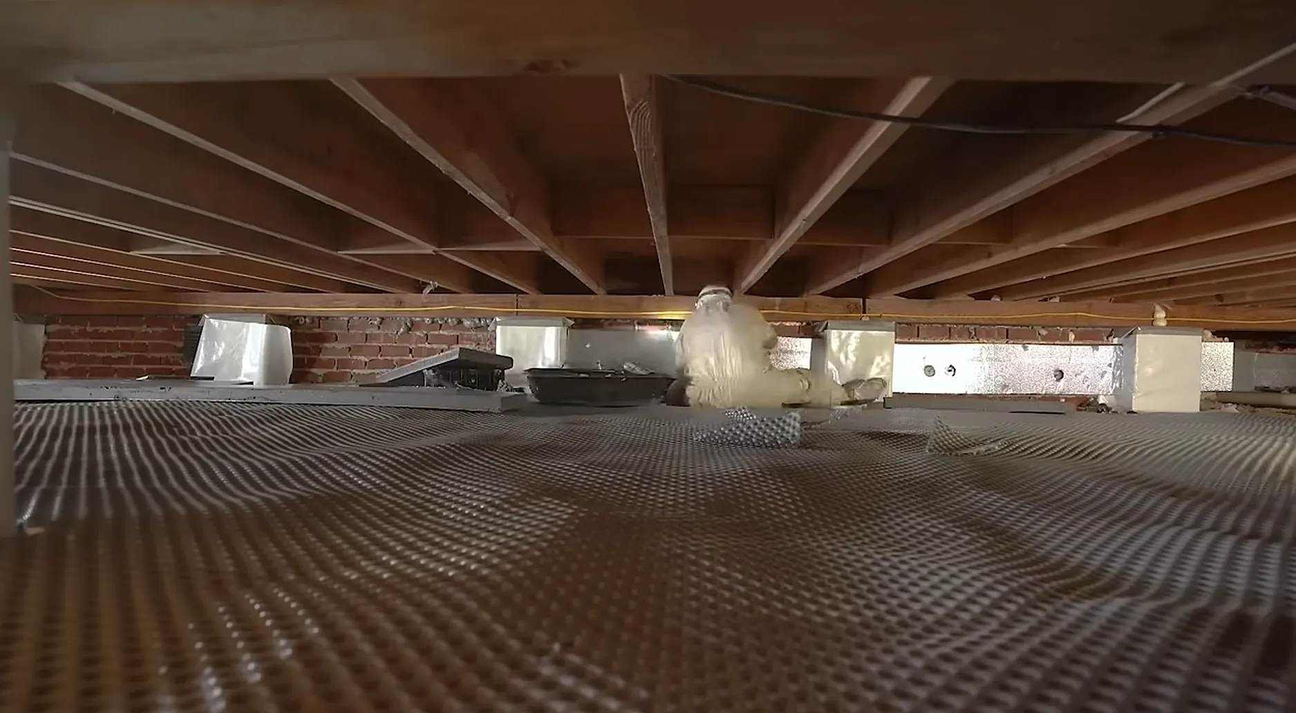 Crawl space root cause diagnostic moisture inspection